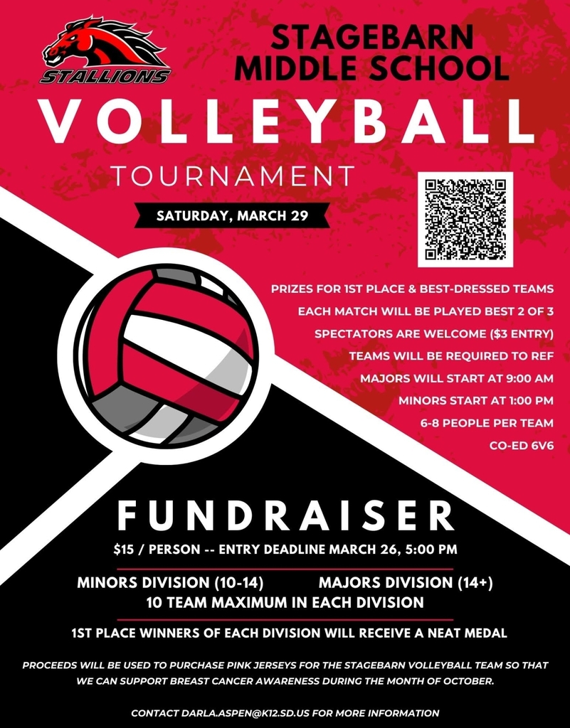 Stagebarn Volleyball Fundraiser