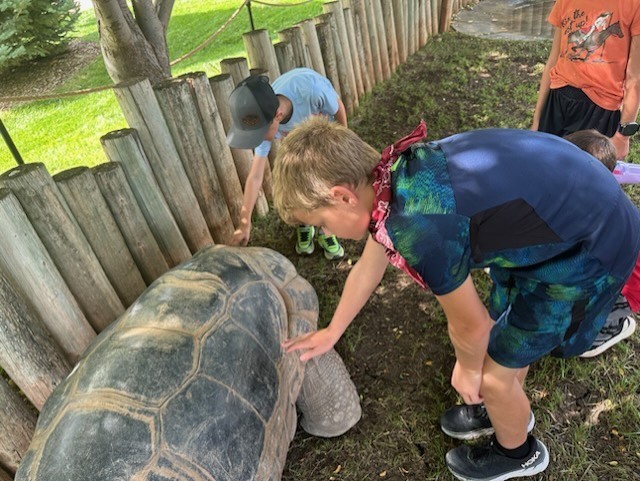4th grade petting a turtle