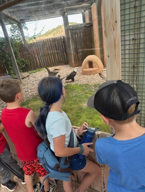 4th grade looking at an eagle