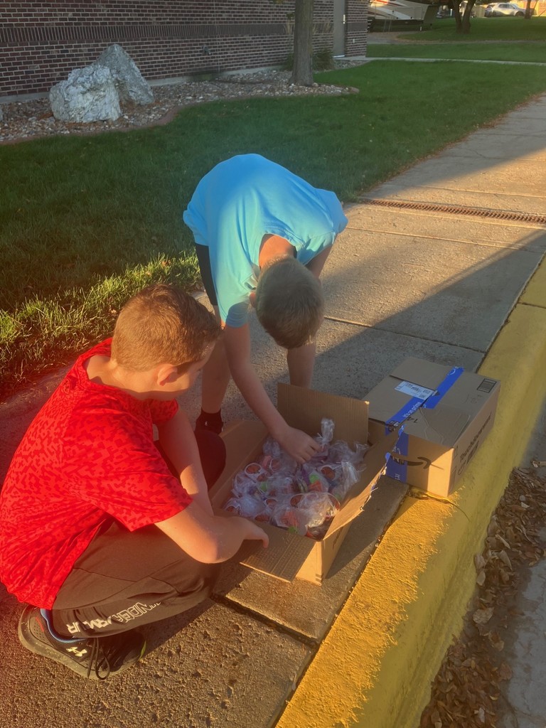 national walk to school day helper