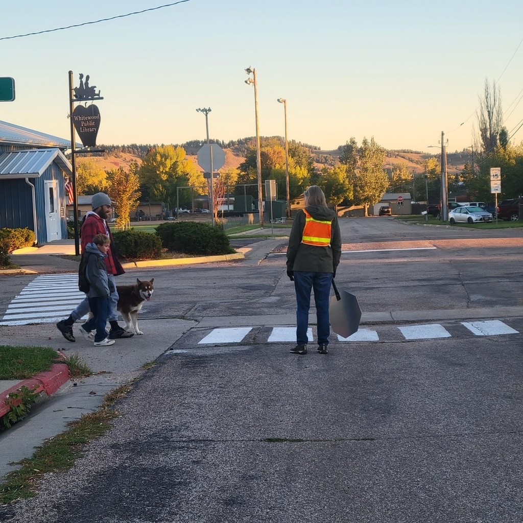 national walk to school day helper