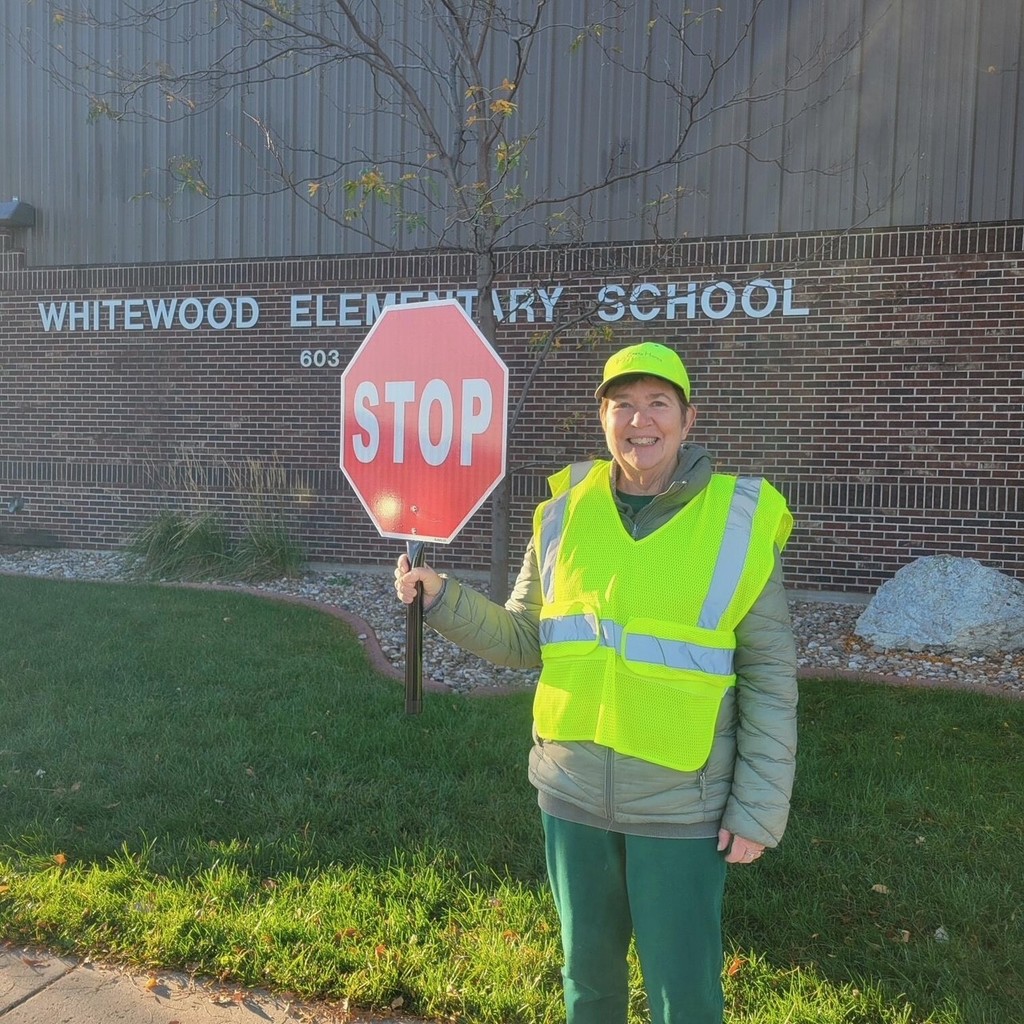national walk to school day helper