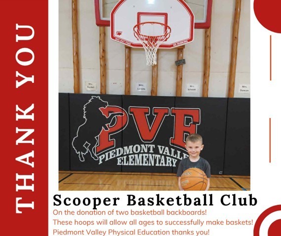 basketball hoop and kid with basketball