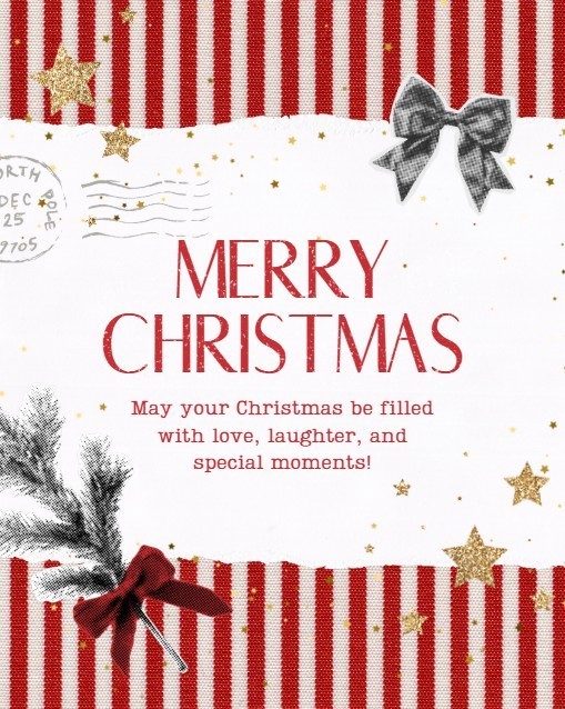 christmas bos and holly and stars