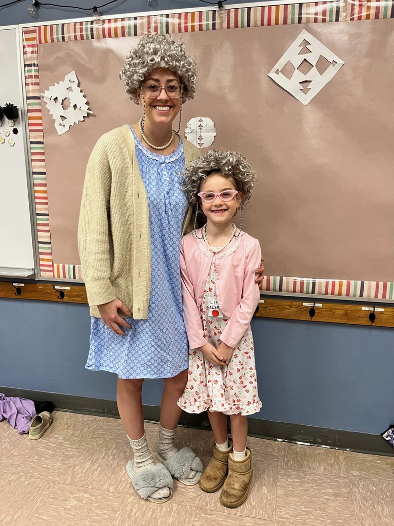 100 days of school dress up days 