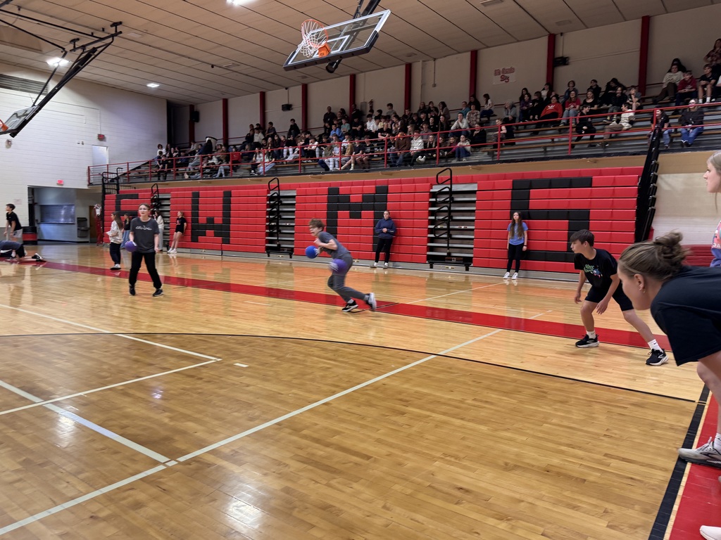 Dodgeball5