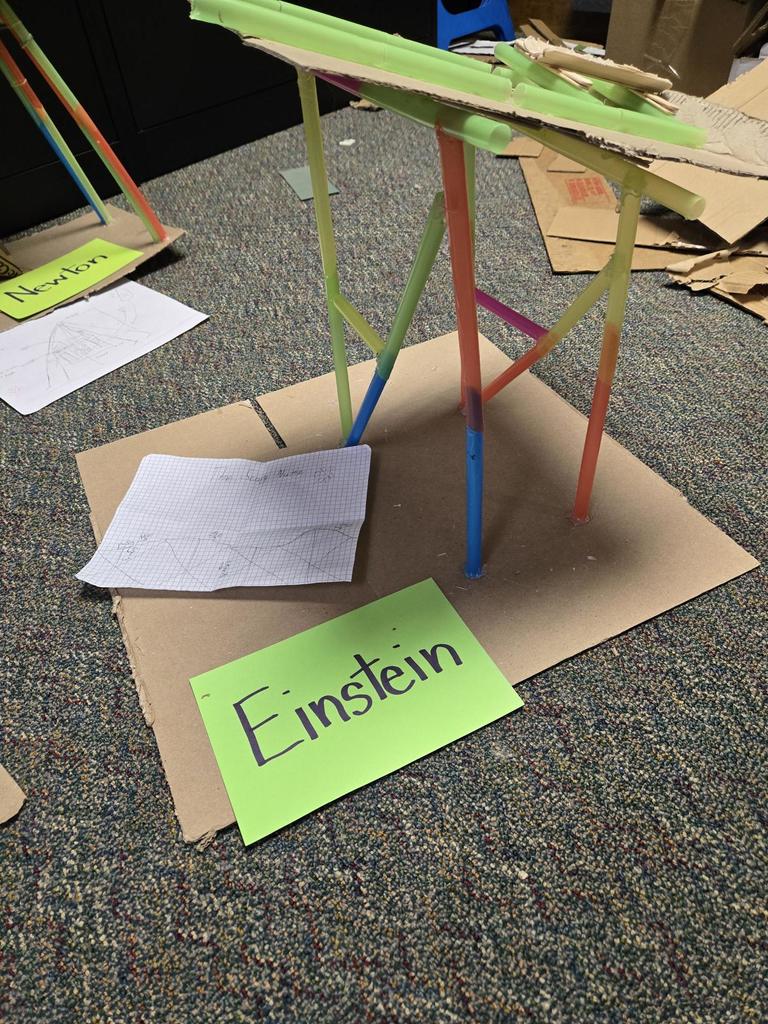 STEM 3