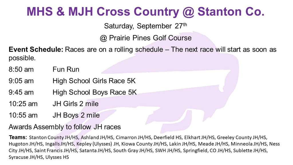 race schedule
