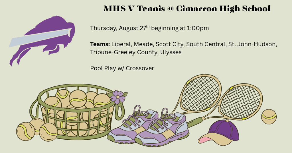 tennis information