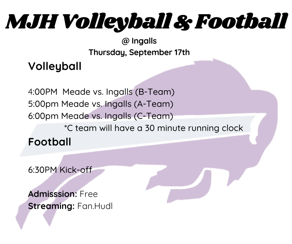 game information