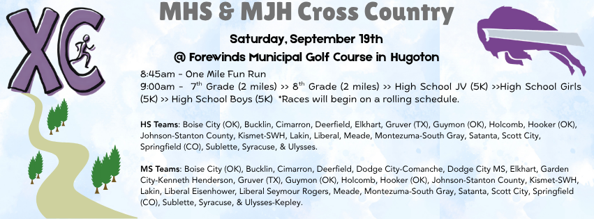 race schedule