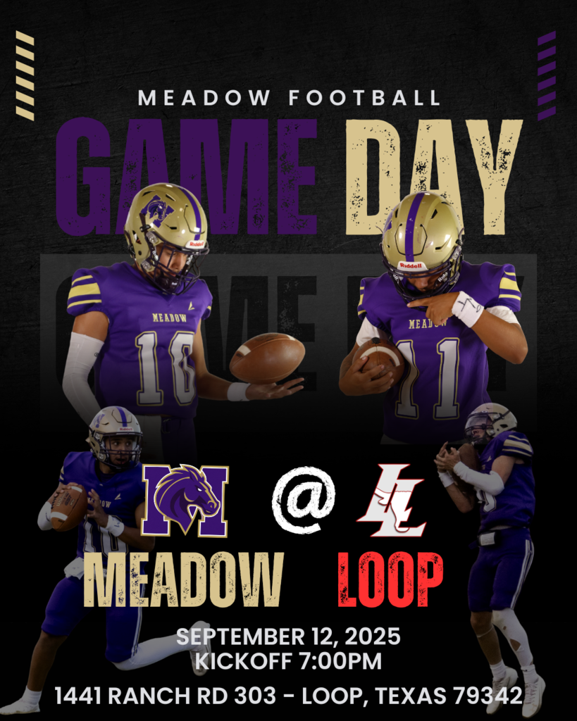 MEADOW VS LOOP