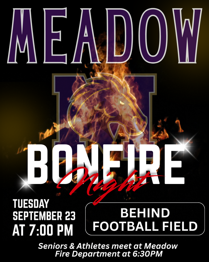 Meadow Bonfire Night