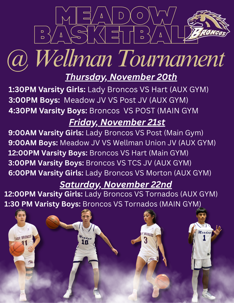 MEADOW BASKETBALL @ Wellman Tournament