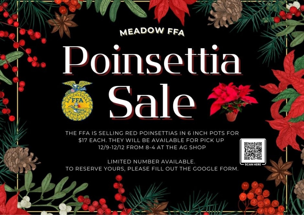 Black Gold Minimalist Blank A4 Document Landscape