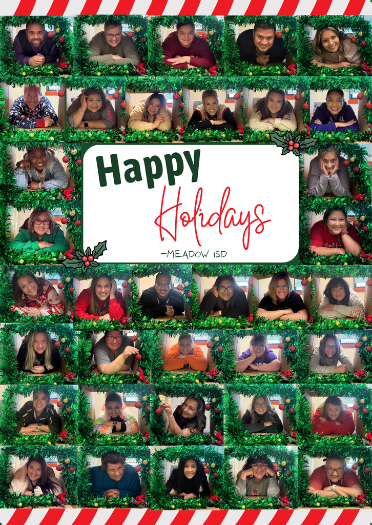 Colorful Festive Mistletoe Berries Greeting Christmas Instagram Post