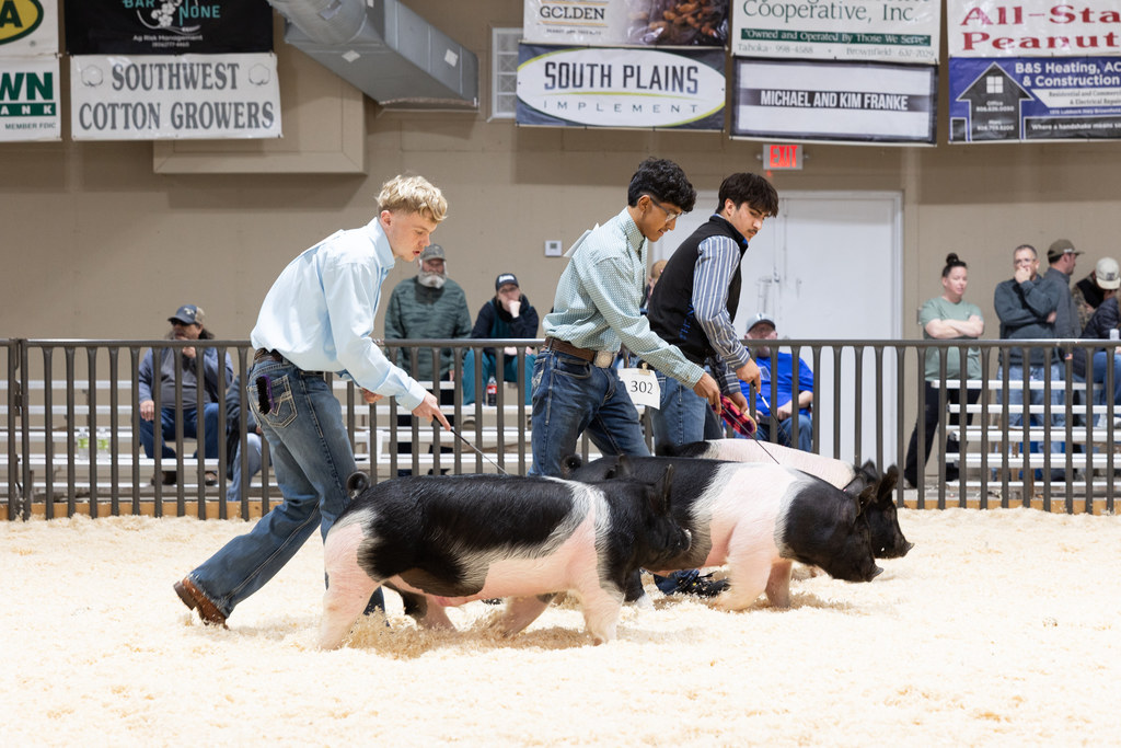 2026MeadowLocalShow_0289