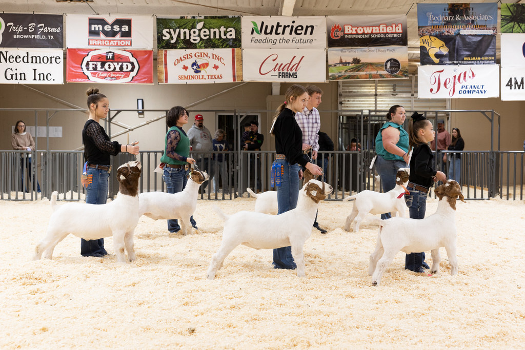 2026MeadowLocalShow_0063