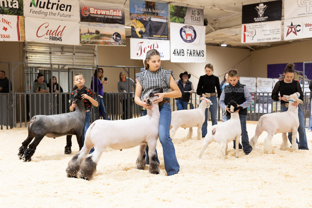 2026MeadowLocalShow_0127