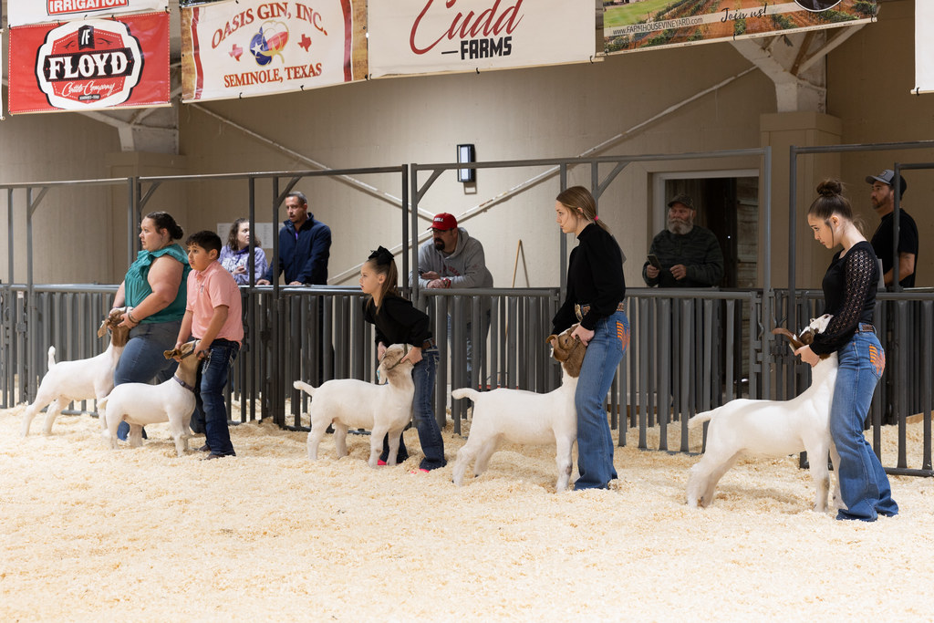 2026MeadowLocalShow_0010