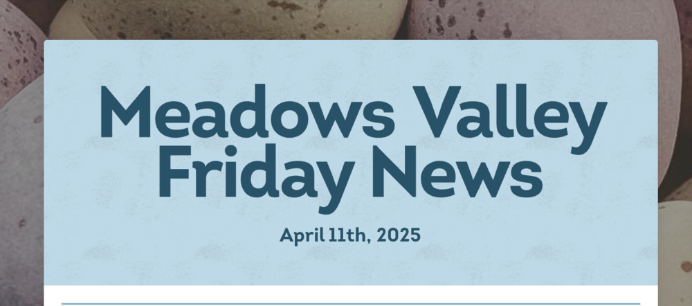 Weekly Newsletter 4/11