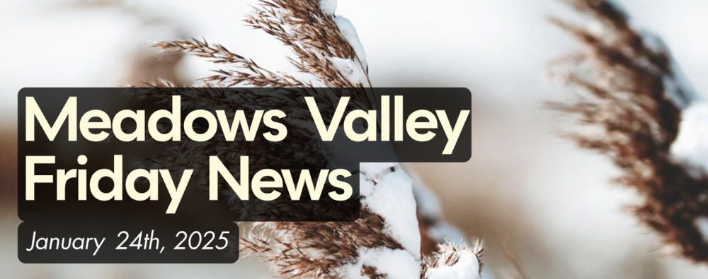 Newsletter 1/24