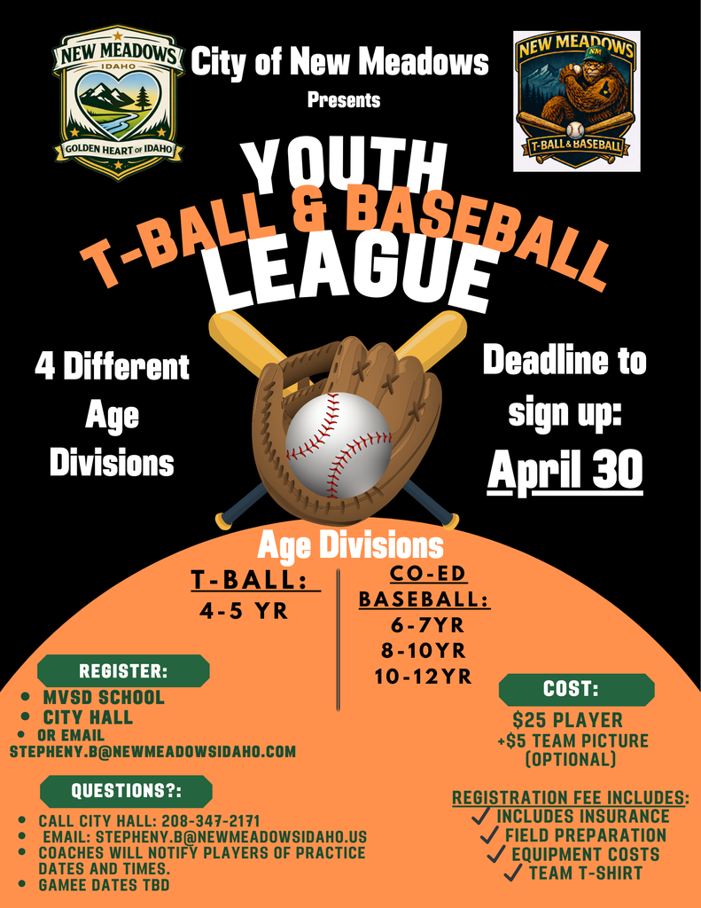 sign up BaseballFlyer (1)