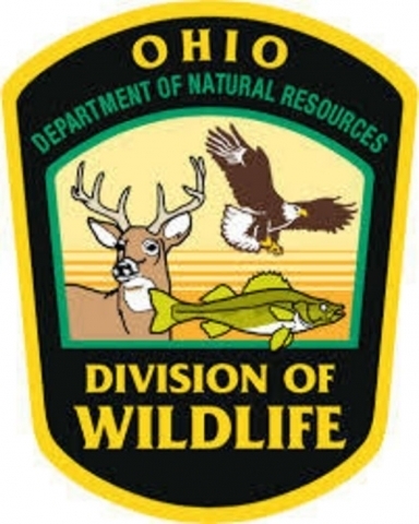 Ohio Division of Wildlife patch. The patch is outlined in yellow with the words Ohio Divison Of Wildlife in yellow. That is on a black background. Department of Natural Resources is in green. There is pictured a deer, a fish and a bold Eagle.