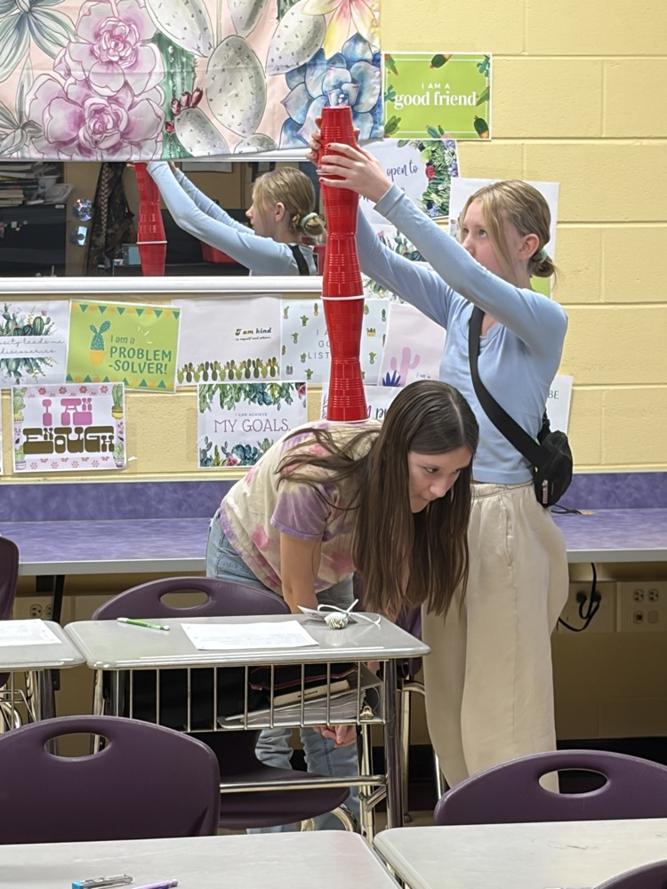 ELA-Partnered up for some Q and A. Earned a cup for every correct answer and the team with the biggest tower after 2 minutes won! ELA fun Friday!