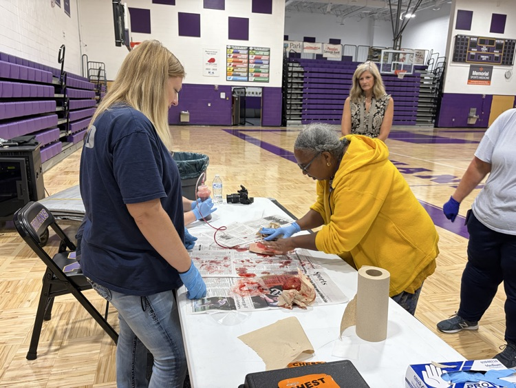 Stop the bleed