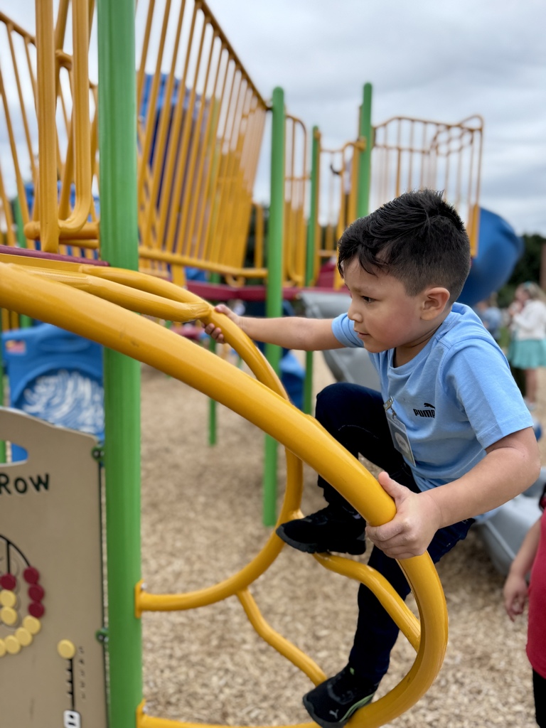 Young boy focused as he climbs on a jungle gym