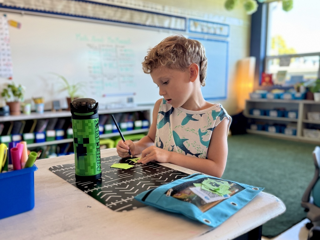 STUDENT WORKING at desk