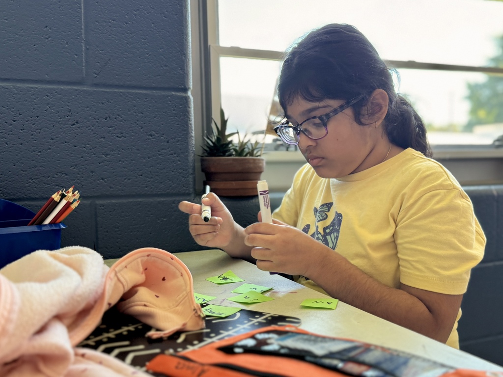 STUDENT WORKING at desk