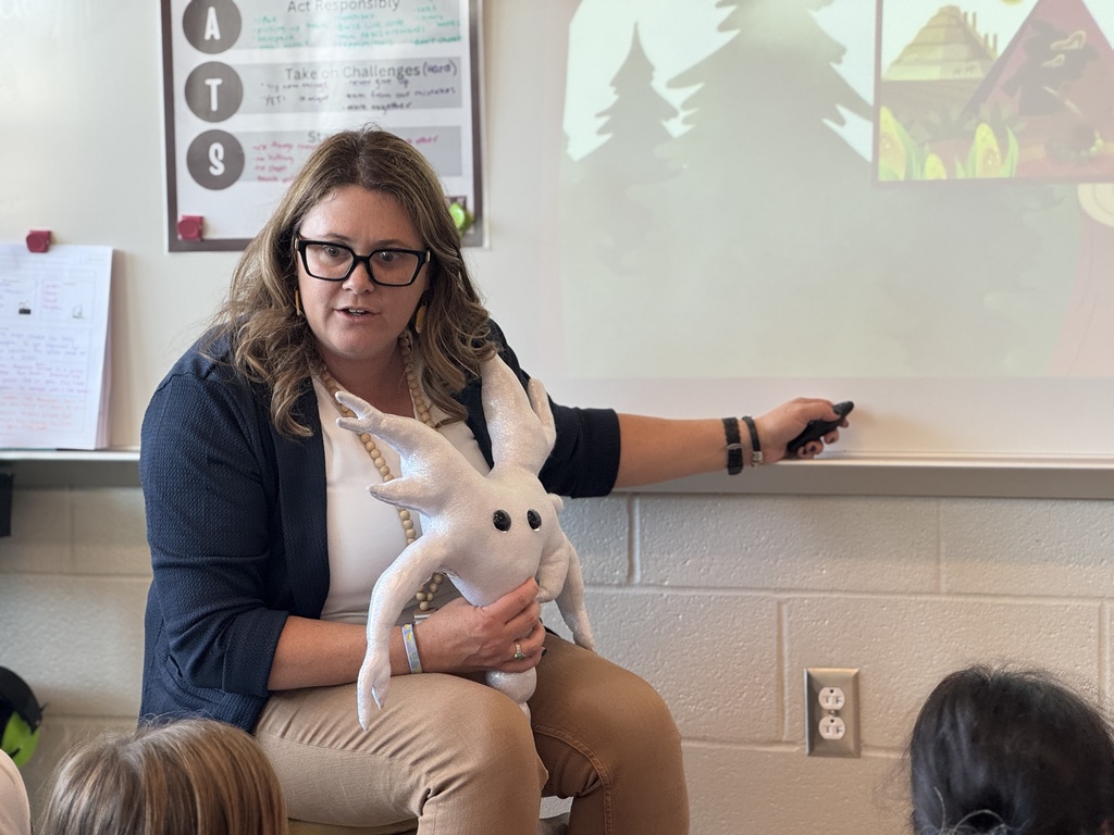 Teacher using a white board