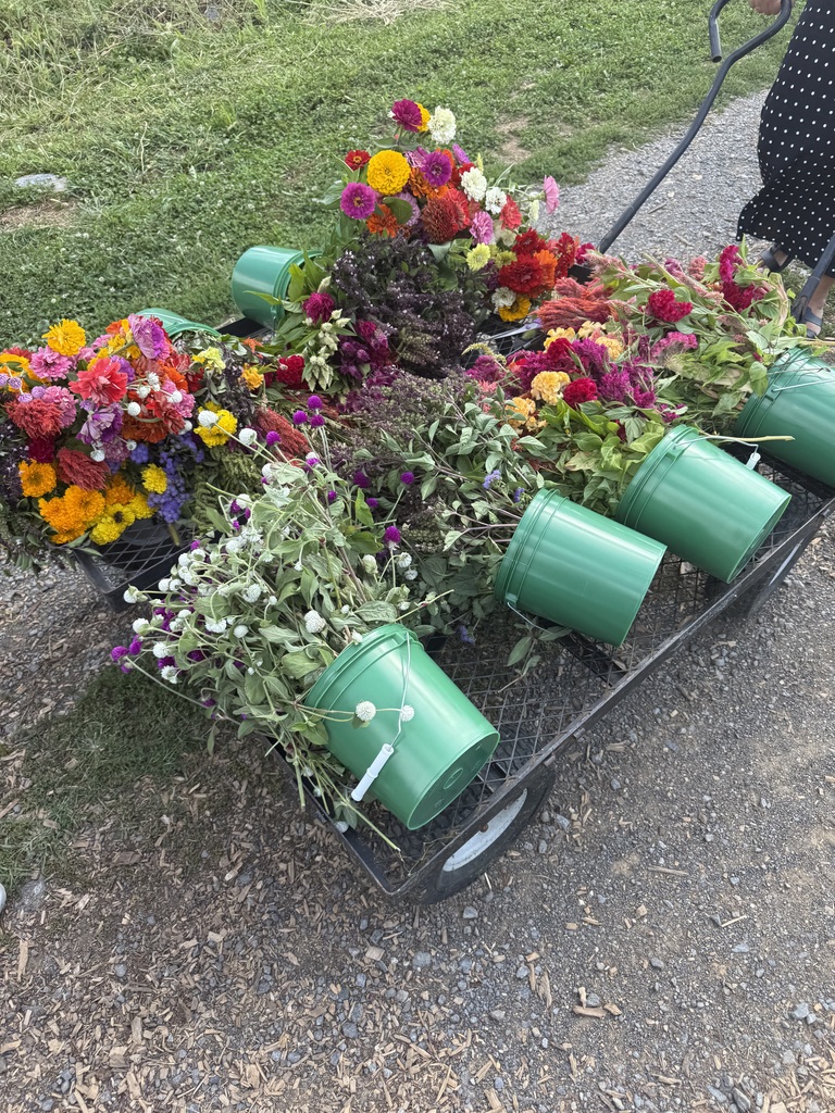 Buckets of colorful flowers on a pull cart