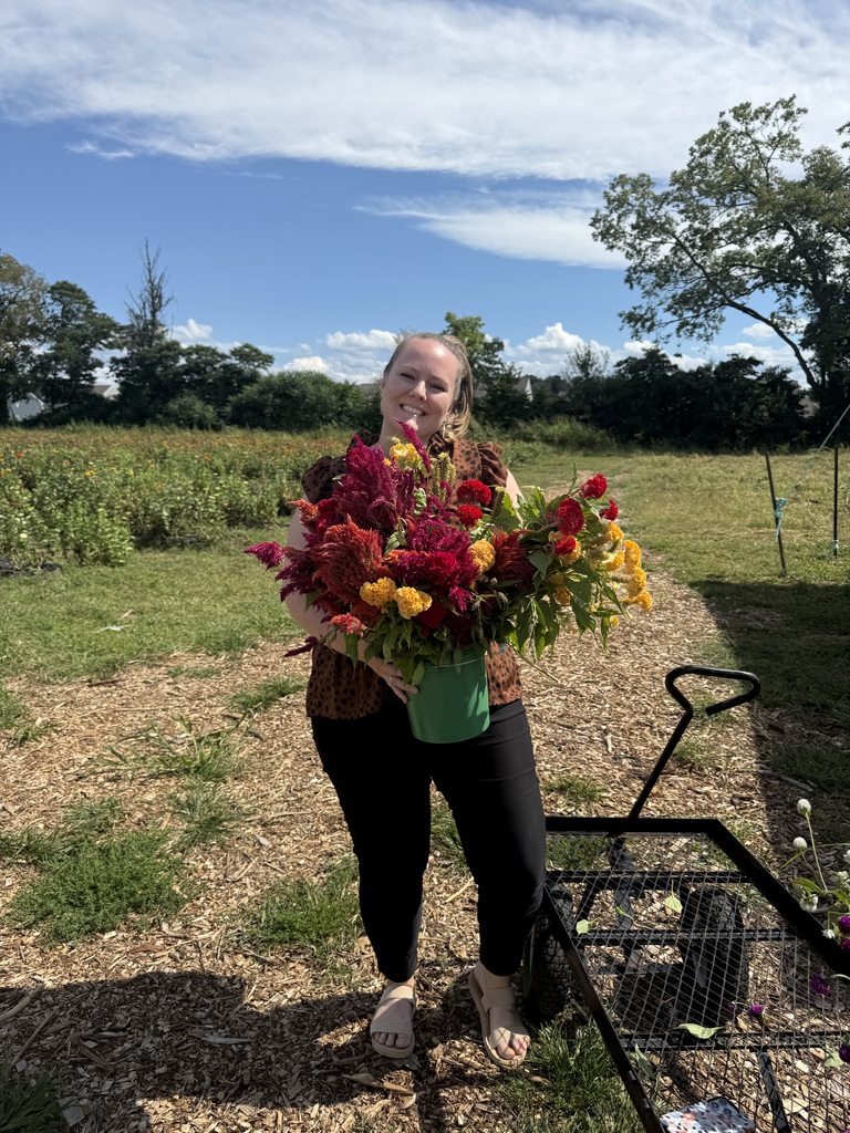 Teachers picking flowers from a field