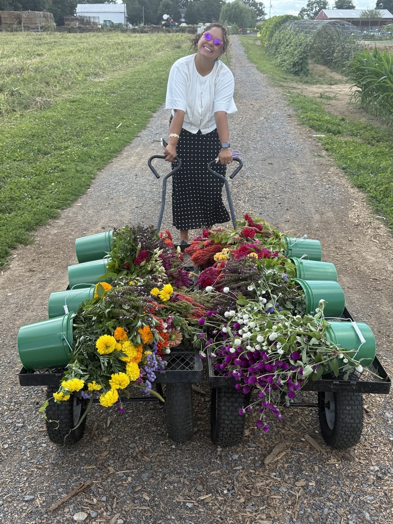 A teacher pulling a wagon of colorful flowers
