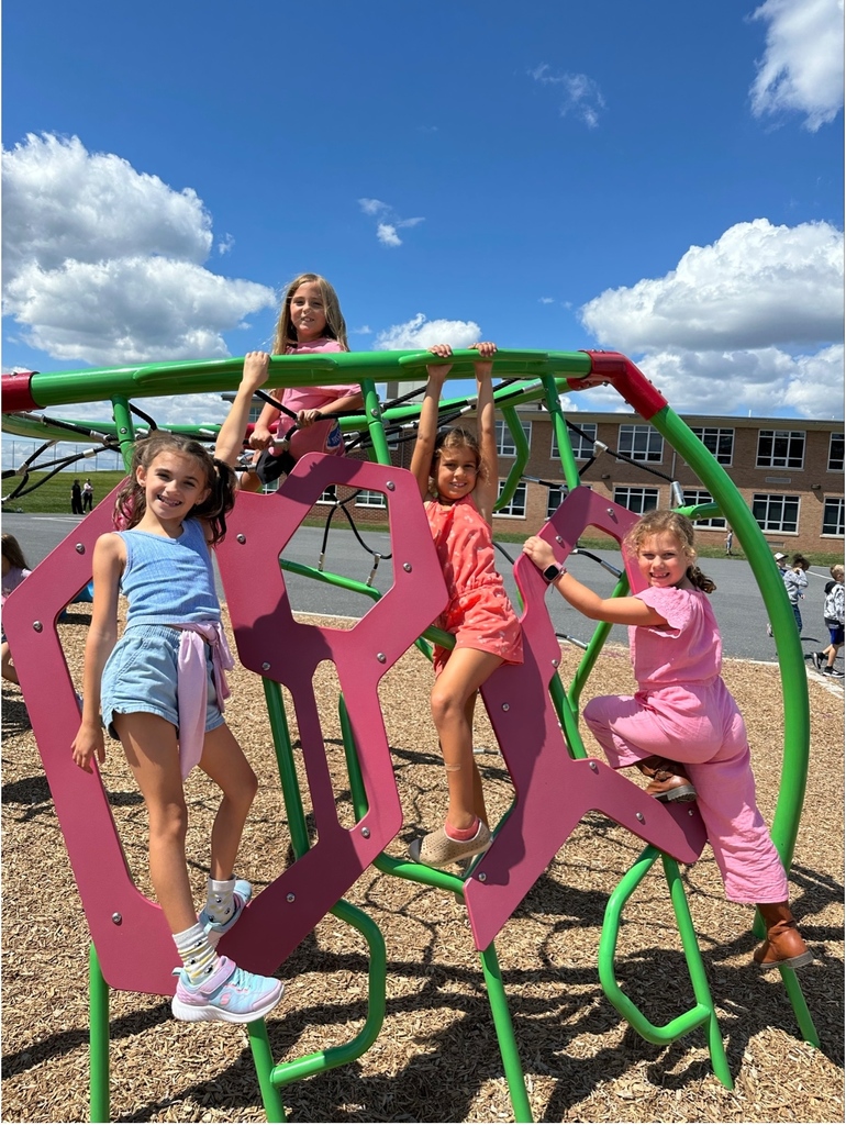 A group of girls playing on school playground equipment