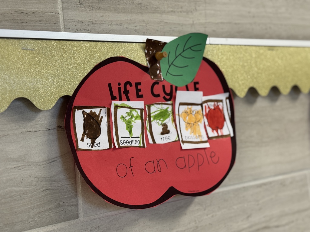 Life cycle of an apple classroom project
