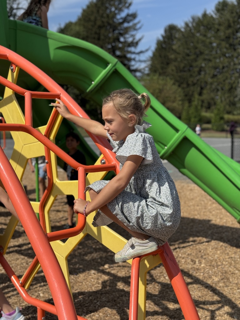 Students climb during recess