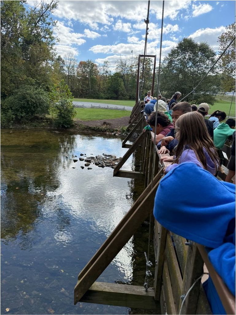 image of students at creek