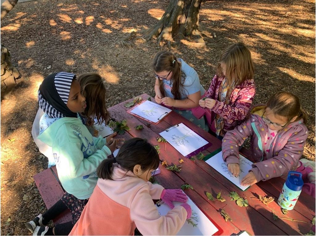 students making leaf rubbings