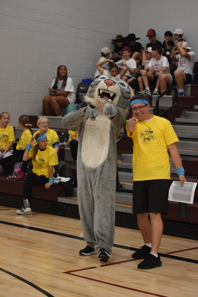 A wildcat mascot with an adult in a yellow shirt.