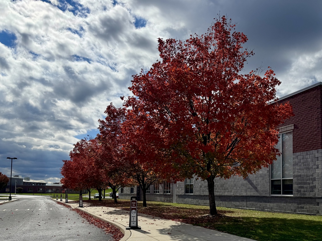 Colorful fall trees in front of a school.