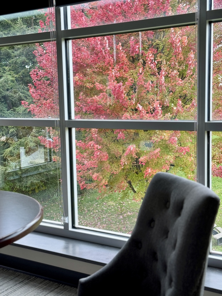 A chair and desk overlooking a colorful fall tree.