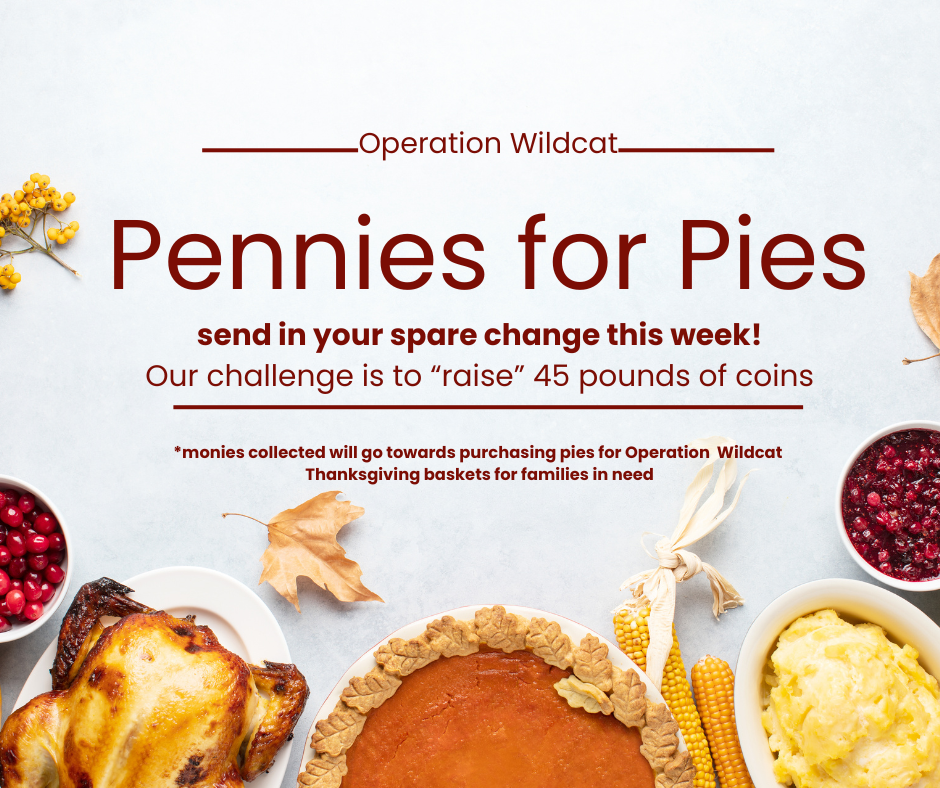 Pennies for Pies