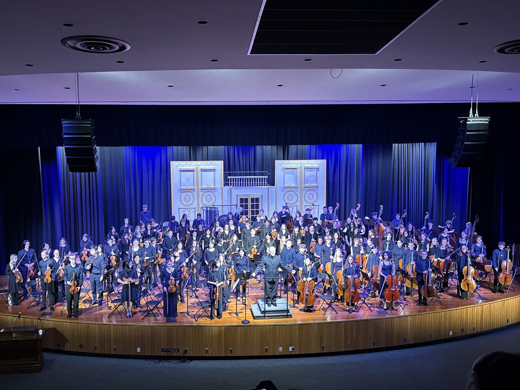 Orchestra performance on stage.