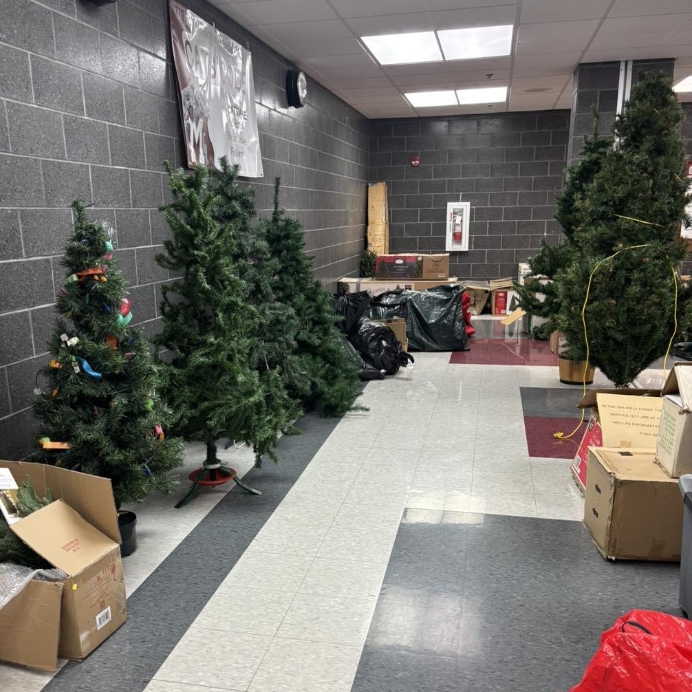 Holiday trees lining a hallway.