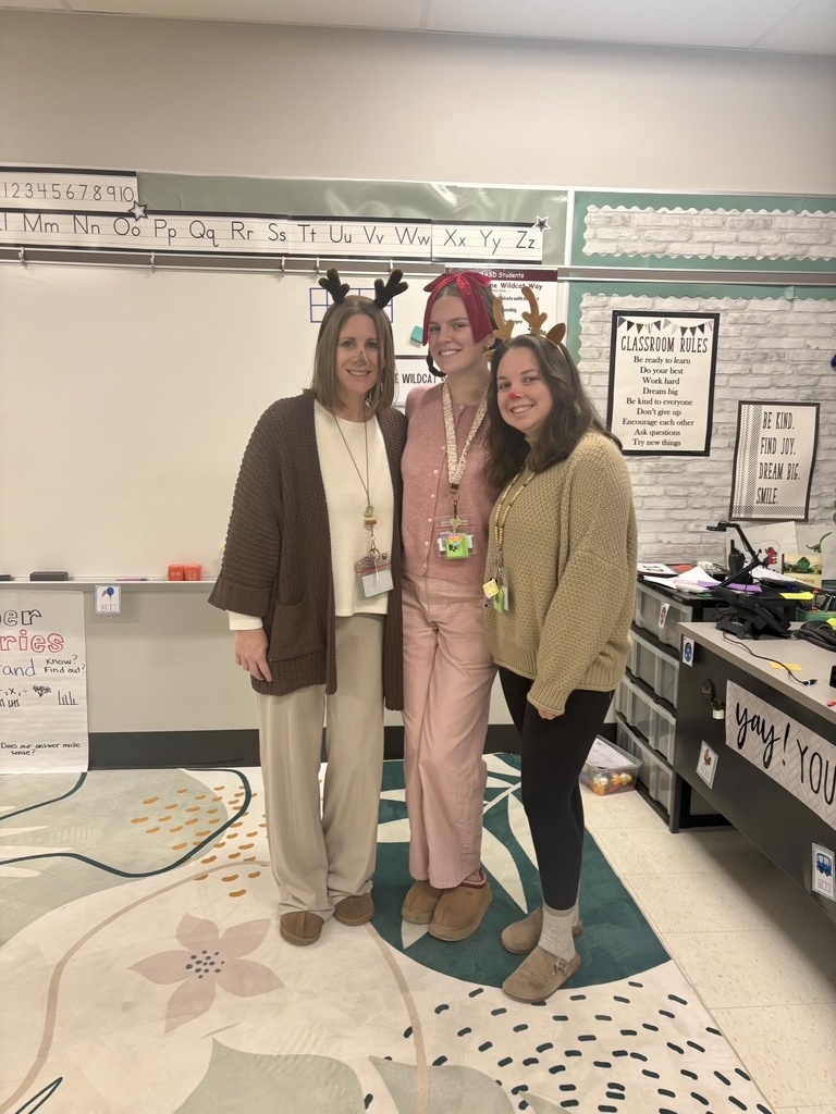 Teachers dressed in holiday costumes.