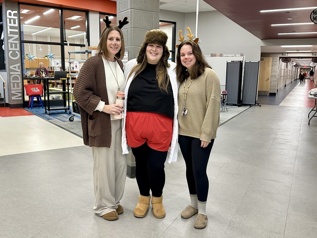 Teachers dressed in holiday costumes.